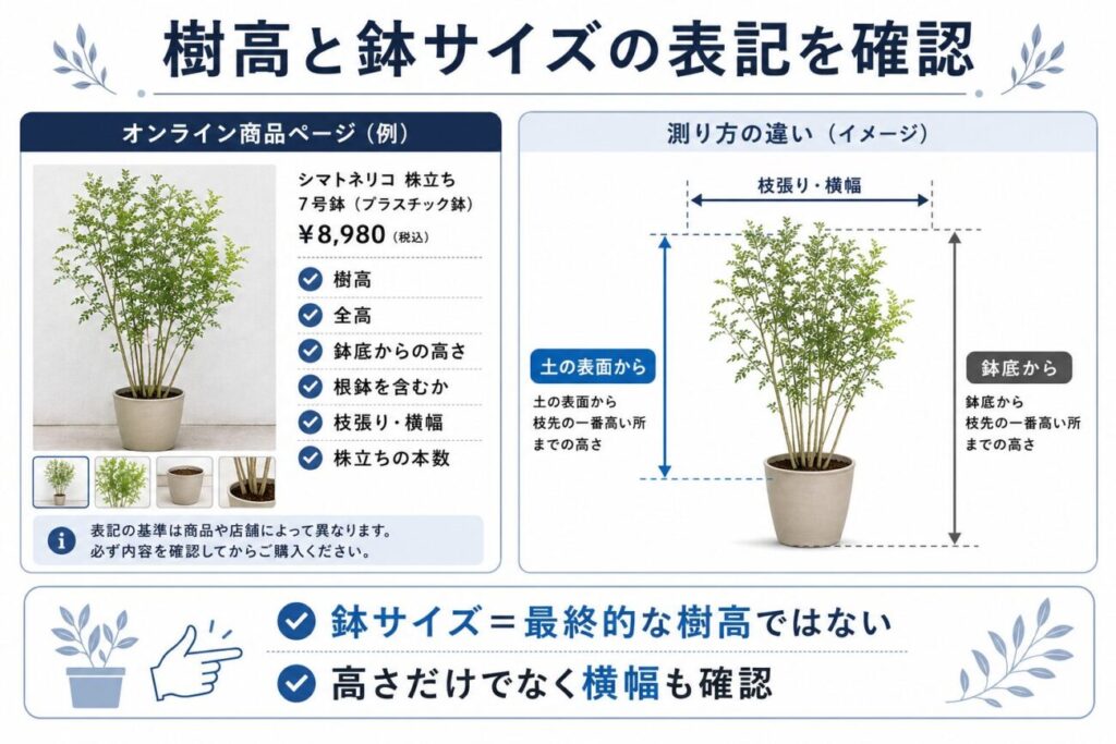 庭木通販の商品ページで確認したい樹高・全高・枝張りの違いを示した図解。土の表面と鉢底からの測り方や、鉢サイズだけで苗木を判断しないポイントを解説。