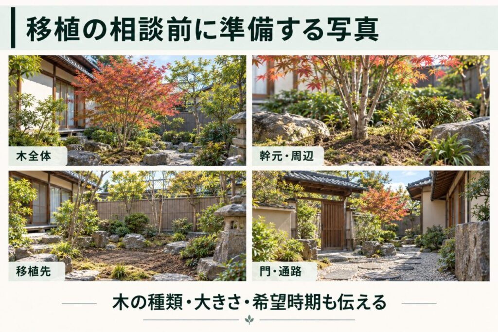庭木の植え替え業者へ相談する前に準備したい写真を4種類にまとめた図解。和風住宅の庭に植えられたモミジの全体写真、幹元と周囲の庭石、植え替え先となる植栽スペース、重機や作業車両の搬入に関係する門と通路を紹介。樹木の種類や大きさ、希望する移植時期も合わせて伝えることを説明している。