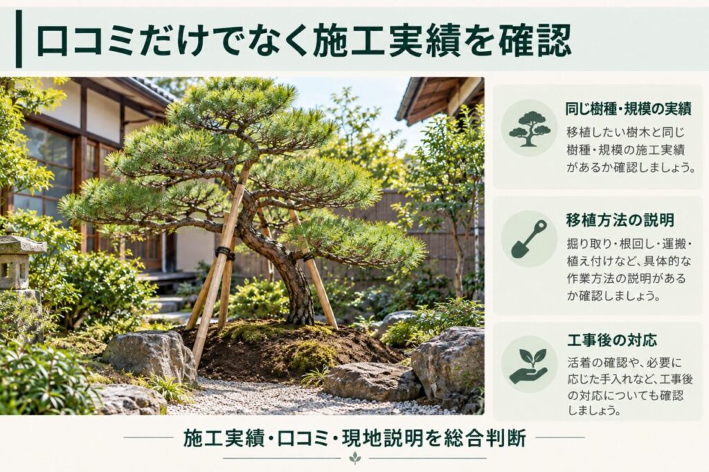 庭木の植え替え業者を施工事例と口コミで比較する際の確認ポイントをまとめた図解。和風庭園に移植され、支柱で支えられた仕立て松の写真を使用し、同じ樹種や規模の移植実績、掘り取りや根回しなどの施工方法の説明、工事後の管理対応を確認する重要性を紹介している。