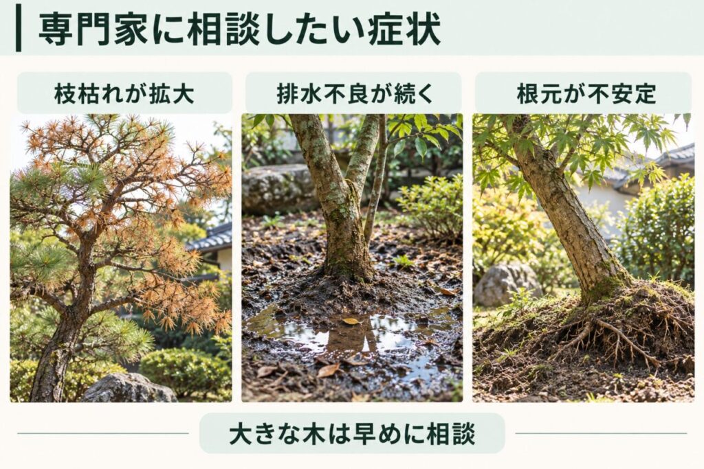 庭木の植え替え後に植木屋や造園業者へ相談したい症状をまとめた図解。松の枝枯れが広範囲に進む状態、根元に水がたまる排水不良、幹が傾いて根元が不安定になった庭木の3つを写真風に比較し、大きな庭木は早めの相談が重要であることを示している。