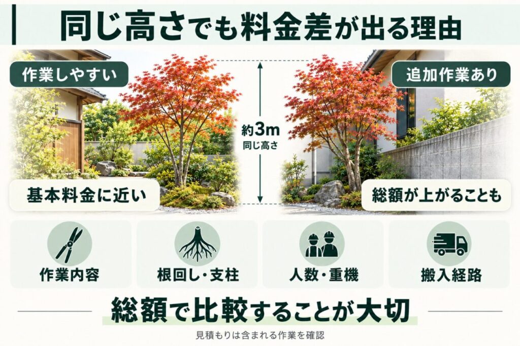 同じ高さの庭木でも植え替え費用に差が出る理由を比較した図解。高さ約3mのモミジを例に、作業しやすい広い庭と、住宅や塀に近く追加作業が必要な庭を左右に配置。基本作業の内容、根回し・支柱の設置、作業員の人数や重機の使用、搬入経路の違いが料金に影響することを説明。見積もりは基本料金だけでなく、必要な作業を含めた総額で比較する重要性を紹介。