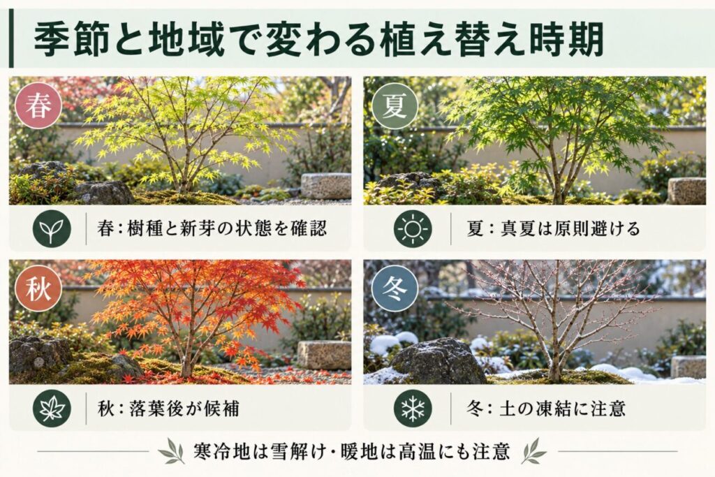 庭木の植え替え時期と季節ごとの注意点をまとめた図解。春夏秋冬のモミジを比較し、春は新芽の状態、夏は高温、秋は落葉、冬は土壌凍結に注意することを解説。寒冷地と暖地の気候による違いも紹介。