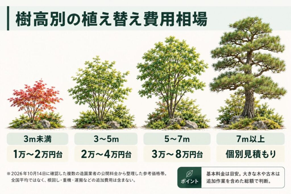 庭木の植え替え費用相場を樹高別に比較した図解。3m未満は1万〜2万円台、3〜5mは2万〜4万円台、5〜7mは3万〜8万円台、7m以上は個別見積もりが目安。モミジや松など高さの異なる4本の庭木を並べ、樹高による基本料金の違いを紹介。根回し・重機・運搬などの追加費用は含まれず、実際の総額は作業条件によって変わることを解説。